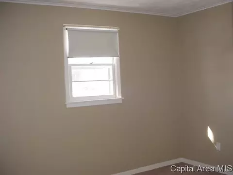 321 E Spaulding St, Riverton, IL 62561 photo 16