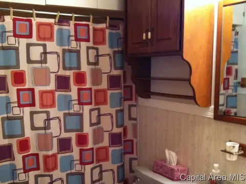 86 Circle Dr, Springfield, IL 62703 photo 17