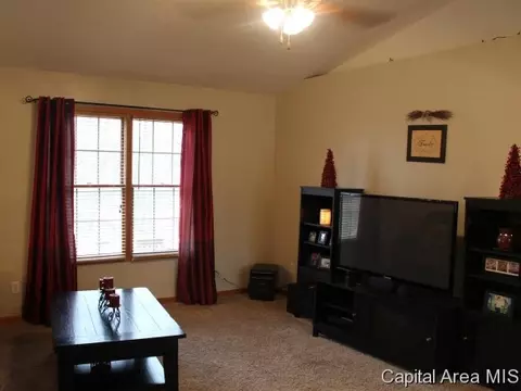 3501 River Rd, Riverton, IL 62561 photo 8
