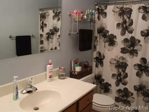 3501 River Rd, Riverton, IL 62561 photo 7