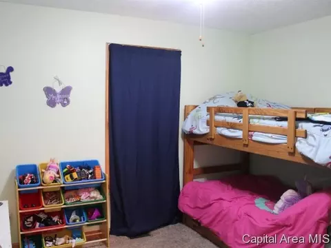 3501 River Rd, Riverton, IL 62561 photo 15