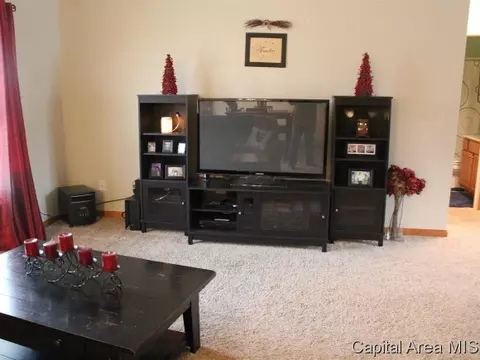 3501 River Rd, Riverton, IL 62561 photo 4