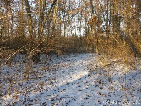 4507 Old Route 36, Springfield, IL 62707 photo 5