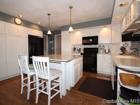1025 Rickard Ct, Springfield, IL 62704 photo 8