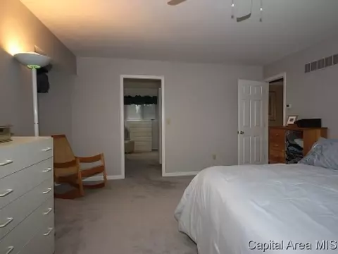 1025 Rickard Ct, Springfield, IL 62704 photo 17