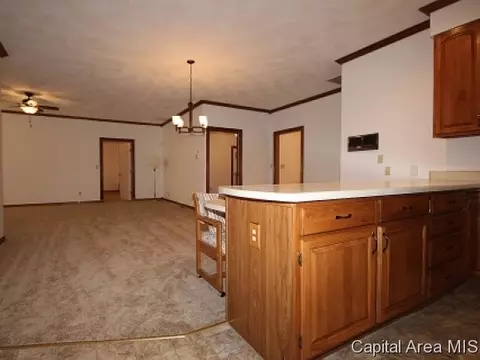 117 Timberridge Dr, Springfield, IL 62702 photo 6