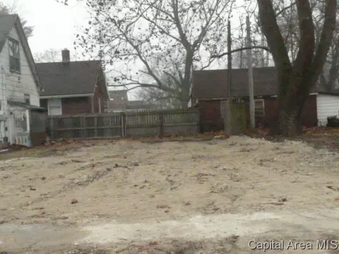 705 N 12th Street St, Springfield, IL 62703 photo 6