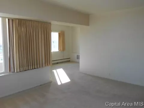 718 S 7th #707, Springfield, IL 62703 photo 7