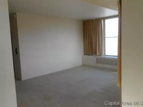 718 S 7th #707, Springfield, IL 62703 photo 3