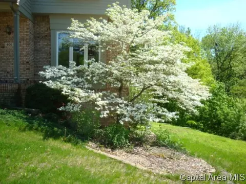 400 Clipper, Springfield, IL 62711 photo 22
