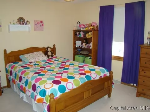 1204 Old Crows Way, Springfield, IL 62712 photo 12