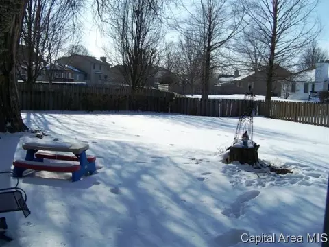 4644 Barrington, Springfield, IL 62711 photo 24