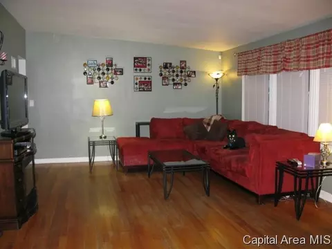 724 W Dorlan Ave, Springfield, IL 62702 photo 2