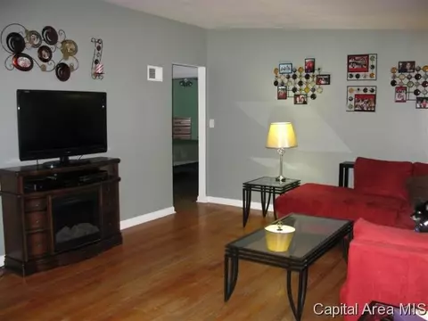 724 W Dorlan Ave, Springfield, IL 62702 photo 4