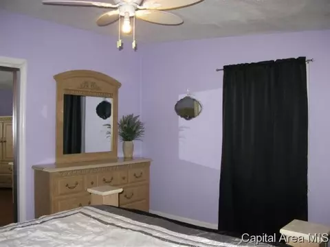 724 W Dorlan Ave, Springfield, IL 62702 photo 10