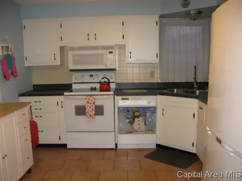 724 W Dorlan Ave, Springfield, IL 62702 photo 8