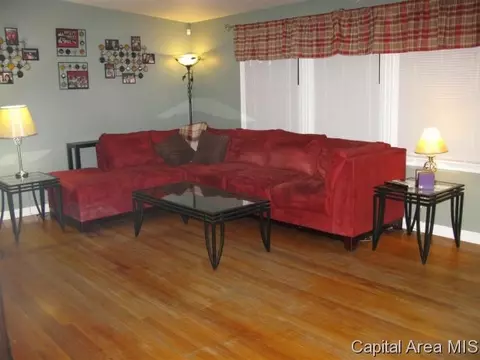 724 W Dorlan Ave, Springfield, IL 62702 photo 3