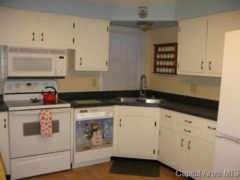 724 W Dorlan Ave, Springfield, IL 62702 photo 7