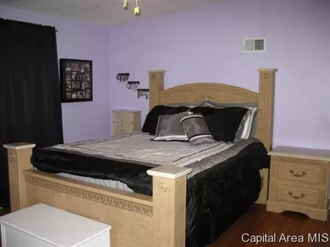 724 W Dorlan Ave, Springfield, IL 62702 photo 9