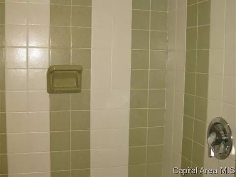 724 W Dorlan Ave, Springfield, IL 62702 photo 17
