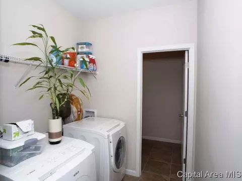 855 Cornsilk, Sherman, IL 62684 photo 18
