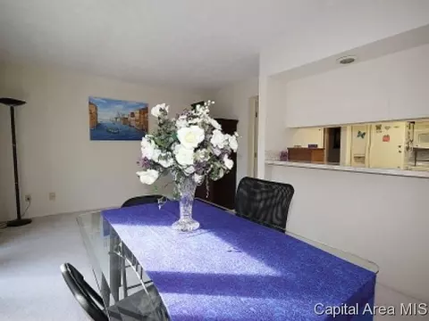 41 Country Pl, Springfield, IL 62703 photo 13