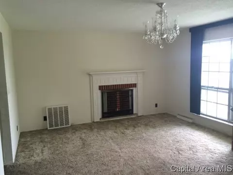 1642 State Rt 100, Bluffs, IL 62621 photo 4