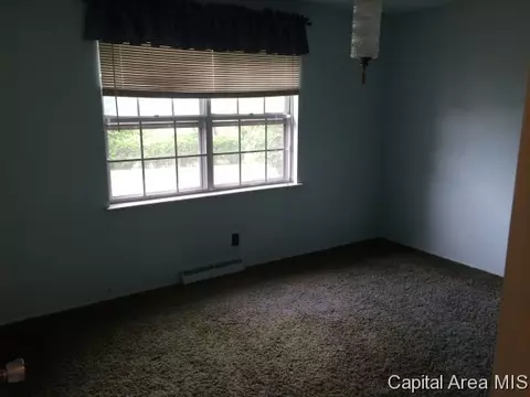 1642 State Rt 100, Bluffs, IL 62621 photo 10