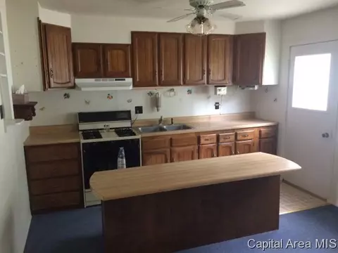 1642 State Rt 100, Bluffs, IL 62621 photo 5
