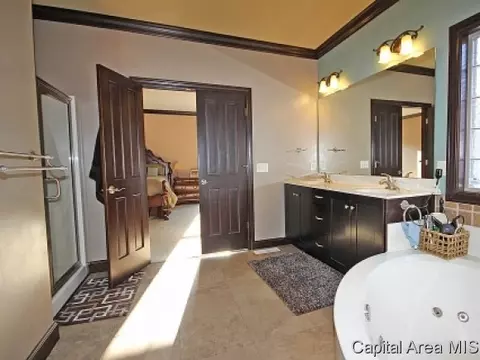 2308 Lillian, Springfield, IL 62704 photo 16
