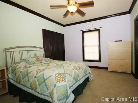 2308 Lillian, Springfield, IL 62704 photo 15