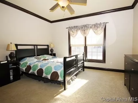 2308 Lillian, Springfield, IL 62704 photo 14