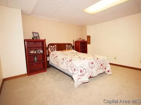 821 E Spruce, Chatham, IL 62629 photo 10