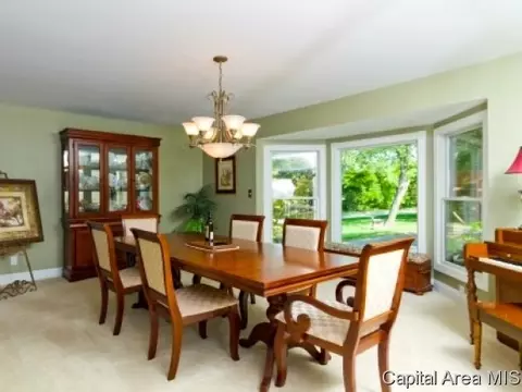 97 Linden Ln, Springfield, IL 62704 photo 9