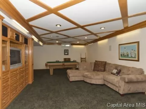 4909 Wildcat Run, Springfield, IL 62711 photo 21