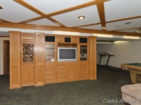 4909 Wildcat Run, Springfield, IL 62711 photo 22