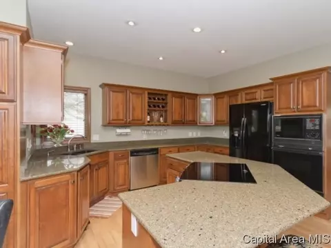 4909 Wildcat Run, Springfield, IL 62711 photo 10
