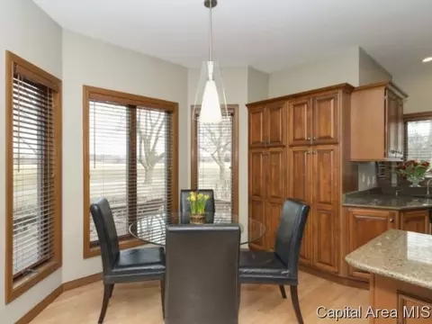 4909 Wildcat Run, Springfield, IL 62711 photo 9