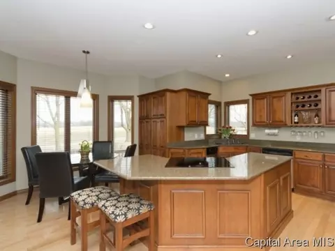 4909 Wildcat Run, Springfield, IL 62711 photo 8