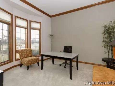 4909 Wildcat Run, Springfield, IL 62711 photo 7