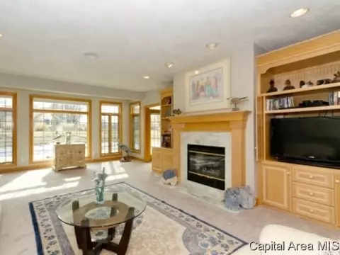 8 Hickory Ridge Ln, Springfield, IL 62707 photo 19