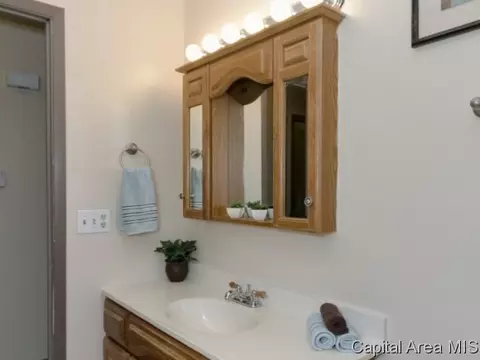 300 Walnut Valley Dr, Springfield, IL 62707 photo 11