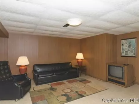 2003 Briarcliff, Springfield, IL 62704 photo 18