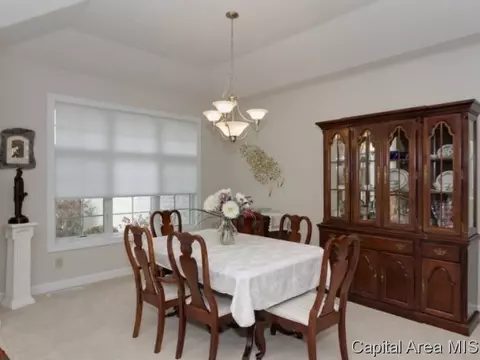 2905 Wildcat Ct, Springfield, IL 62711 photo 12