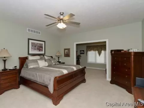 2905 Wildcat Ct, Springfield, IL 62711 photo 18