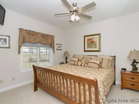2905 Wildcat Ct, Springfield, IL 62711 photo 14