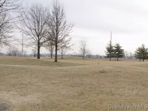 2905 Wildcat Ct, Springfield, IL 62711 photo 8
