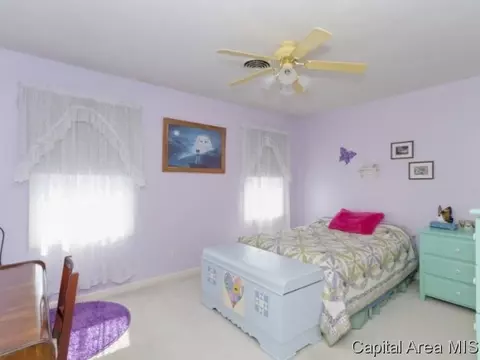 3917 Greenfield Dr, Springfield, IL 62704 photo 13