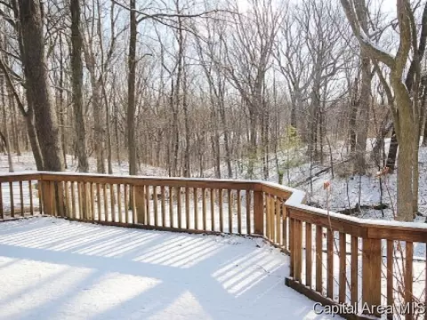 836 Coventry Pt, Springfield, IL 62702 photo 3