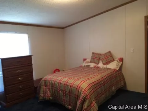 887 Kamm Rd, Springfield, IL 62707 photo 15